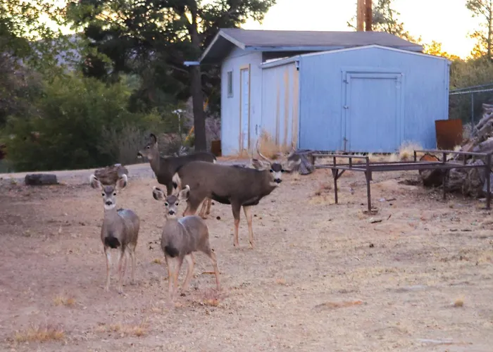 1 Mi To Dtwn: Scenic Hillside Retreat! Prescott